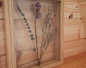 Gedroogde bloemen in Huisje in Zuid-Scharwoude, een vakantiehuis in Noord-Holland, voor een natuurlijke en rustieke sfeer.