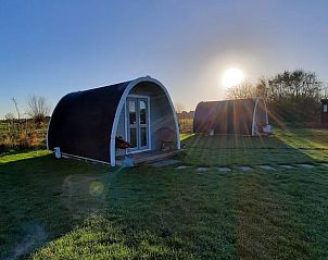 Ochtendzon bij Huisje in Zuid-Scharwoude, een vakantiehuis in Noord-Holland, met uitzicht op de groene natuur.
