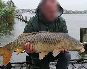 Guest house 494005 - Holiday property Noord-Holland midden - Huisje in Oostknollendam