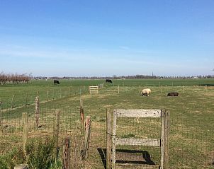 Guest house 494702 - Holiday property Noord-Holland midden - NH539