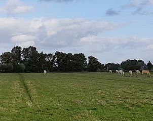 Verblijf 494801 - Vakantiewoning Noord-Holland midden - Vakantiehuis in Driehuizen