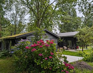 Guest house 501811 • Holiday property Noord-Holland zuid • Huisje in Kortenhoef 