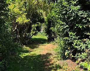 Pad naar Huisje in Broek in Waterland, vakantiehuis omgeven door natuur, Amsterdam eo, Noord-Holland.