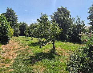Uitgestrekte boomgaard bij vakantiehuis in Broek in Waterland, Amsterdam eo.