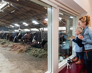 Unterkunft 512401 - Ferienhaus IJsselmeerkust - Overleekerhoeve