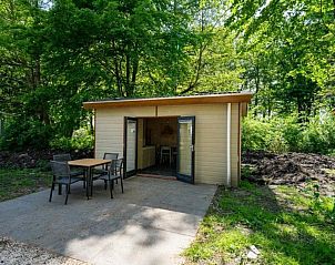 Guest house 512743 • Holiday property Amsterdam eo • Forest 
