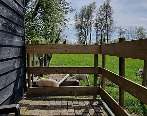 Unterkunft 513312 - Ferienhaus Amsterdam eo - Huisje in Weesp