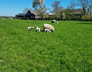 Unterkunft 513312 - Ferienhaus Amsterdam eo - Huisje in Weesp