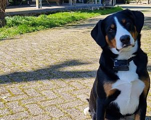 Unterkunft 513312 - Ferienhaus Amsterdam eo - Huisje in Weesp