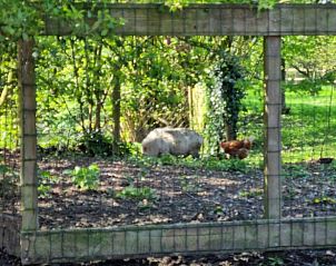 Unterkunft 513312 - Ferienhaus Amsterdam eo - Huisje in Weesp