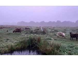 Unterkunft 513313 - Ferienhaus Amsterdam eo - Vakantiehuisje in Weesp