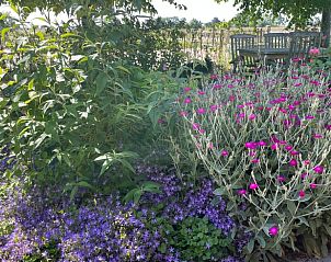 Unterkunft 513318 - Ferienhaus Amsterdam eo - Huisje in Weesp