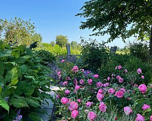 Unterkunft 513318 - Ferienhaus Amsterdam eo - Huisje in Weesp