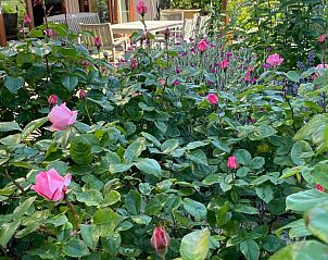 Unterkunft 513318 - Ferienhaus Amsterdam eo - Huisje in Weesp