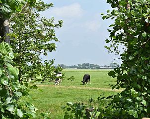 Unterkunft 513329 - Ferienhaus Amsterdam eo - NH388