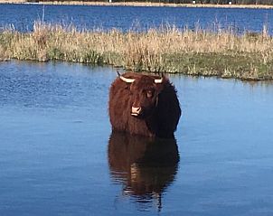 Unterkunft 513803 - Ferienhaus Amsterdam eo - Vakantiehuisje in Purmerland