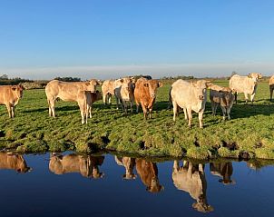 Unterkunft 513803 - Ferienhaus Amsterdam eo - Vakantiehuisje in Purmerland