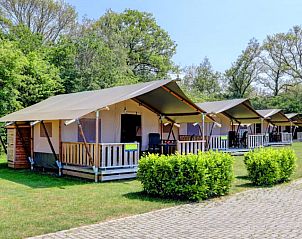 Guest house 520115 • Tent house Twente • Safaritent + sanitair 