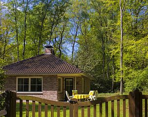 Vrijstaande 't Boszicht bungalow in Nutter, Twente, met omheinde tuin en terras.