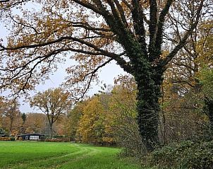 Verblijf 520208 - Vakantiewoning Twente - Vakantiehuisje in Nutter