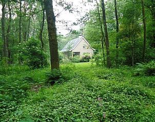 Unterkunft 520210 - Ferienhaus Twente - Vakantiehuis in Ootmarsum