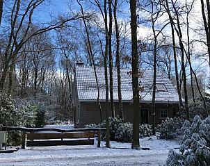 Unterkunft 520210 - Ferienhaus Twente - Vakantiehuis in Ootmarsum