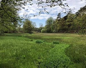 Unterkunft 520210 - Ferienhaus Twente - Vakantiehuis in Ootmarsum