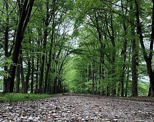 Unterkunft 520210 - Ferienhaus Twente - Vakantiehuis in Ootmarsum