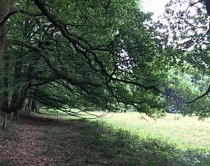 Unterkunft 520210 - Ferienhaus Twente - Vakantiehuis in Ootmarsum