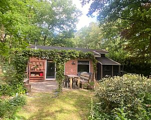 Achterkant van Huisje in Nutter, vakantiehuis in Nutter, Twente, omgeven door groen.