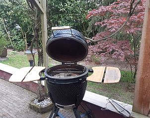 Moderne barbecue op het terras van Vakantiehuis in Nutter, Twente, voor gezellige avonden.