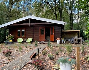 Huisje in Nutter, een knus vakantiehuis in het groene Twente, Overijssel, met een uitnodigend terras omringd door rustgevende natuur.