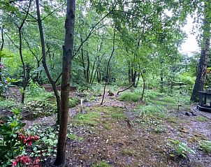 Verblijf 520228 - Vakantiewoning Twente - Huisje in Nutter