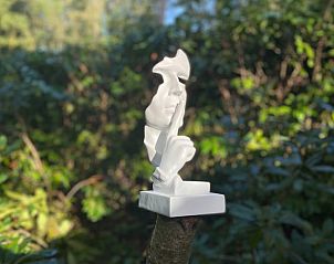 Verblijf 520228 - Vakantiewoning Twente - Huisje in Nutter