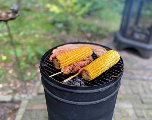 Verblijf 520228 - Vakantiewoning Twente - Huisje in Nutter