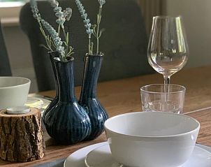 Unterkunft 520235 - Ferienhaus Twente - Vakantiehuis in Nutter