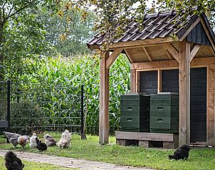 Unterkunft 520235 - Ferienhaus Twente - Vakantiehuis in Nutter