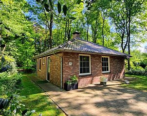 Vakantiehuis in Nutter, charmant vakantiehuis in de bossen van Twente, Overijssel, met groene omgeving.