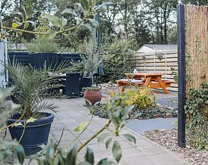 Guest house 520242 - Chalet Twente - Veldzicht