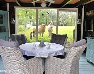 Guest house 520245 - Chalet Twente - Huisje Weltevree