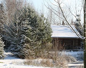 Unterkunft 520408 - Ferienhaus Twente - Vakantiehuisje in Den Ham