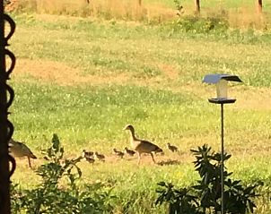 Guest house 520411 - Holiday property Twente - Vakantiehuis in Den Ham