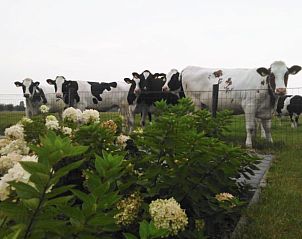 Guest house 520417 - Holiday property Twente - Huisje in Den Ham