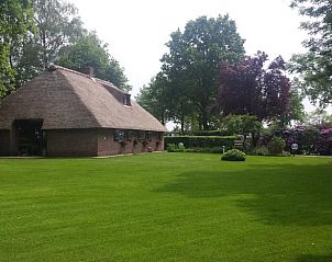 Groene omgeving rondom Vakantiehuis in Den Ham, perfect voor rustzoekers.