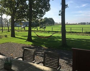 Tuin met hangmat bij Vakantiehuis in Den Ham, Twente, Overijssel.