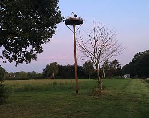 Ooievaarsnest in de buurt van Vakantiehuis in Den Ham, Twente, Overijssel.
