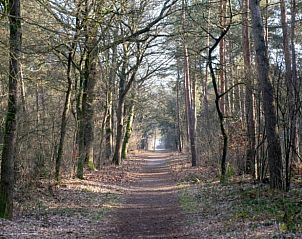 Guest house 520431 - Holiday property Twente - Vakantiehuisje in Den Ham