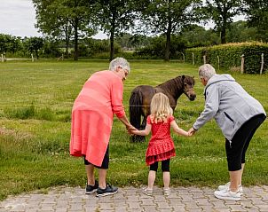 Guest house 520439 - Holiday property Twente - Huisje in Den Ham (Twente)