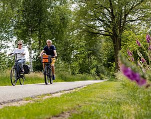 Guest house 520439 - Holiday property Twente - Huisje in Den Ham (Twente)