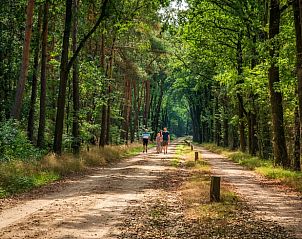 Guest house 520439 - Holiday property Twente - Huisje in Den Ham (Twente)